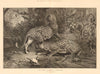 In the Enemy's Country, by GB Goddard. Leopards hunting monkeys 1874 old print