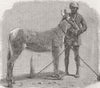 INDIA. Farm show, Roorkee, NW provinces. ass 1855 old antique print picture