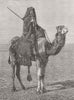 AFRICA. A travelling Bedouin 1882 old antique vintage print picture