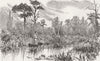 FLORIDA. Creek connecting lakes Maitland & Otseola 1885 old antique print