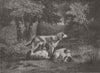 LANDSCAPES. Dogs, forest by Diaz 1855 old antique vintage print picture