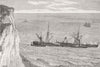 SOUTH FORELAND. Flamingo ashore, St Margaret's Bay 1881 old antique print