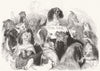 DOGS. The Dog Bill Committee 1844 old antique vintage print picture