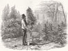 TREE. So fir-tree went wheelbarrow tried sit Jaunty air, if 1851 old print
