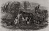 Gathering, washing, bunching, and carting carrots for the London market 1861