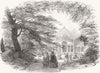 SYON. Gt Plant House 1852 old antique vintage print picture