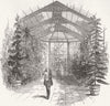 STRATFIELD SAYE. Conservatory  1852 old antique vintage print picture