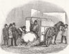 FARMING. Uncarting Pig 1849 old antique vintage print picture