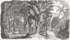 WEST INDIES. Mahogany trees  1850 old antique vintage print picture