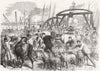 LONDON. Landing cows, British & Foreign Wharf, Docks 1865 old antique print