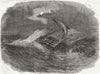 SHIPS. Wreck of Egyptian warship, Black Sea 1854 old antique print picture