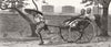 TRANSPORT. Jinriksha, Chinese hand-carriage 1883 old antique print picture