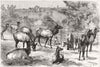 OSMASTON MANOR. Imported American elk(Wapiti)Derby 1894 old antique print