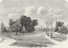 EALING. Ealing Green 1888 old antique vintage print picture