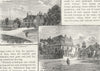 EPPING FOREST. Roebuck; Bald-faced Stag pubs. Essex 1888 old antique print