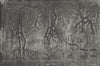 ERITREA. Mangroves near Gherar 1880 old antique vintage print picture