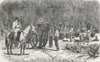 BRAZIL. Organ Mountains. Coffee gathering 1880 old antique print picture
