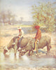 INDIA. Leisure hours. Water buffalo 1905 old antique vintage print picture