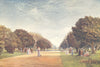 LONDON. Great avenue, Hampton Court 1907 old antique vintage print picture