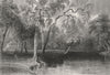 View from Glenmary Lawn (on the Owago), New York. WH BARTLETT 1840 old print