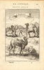 CAMELS. 'Chameaux'. Nubia. Sudan. Egypt. MALLET 1683 old antique print picture