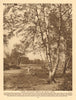 Under the silver birches of Putney Heath 1926 old vintage print picture