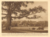 View from Kenwood towards Highgate. Ladies Bathing Lake 1926 old vintage print