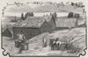 Chinamen's Huts at Golden Point. Ballarat. Australia 1890 antique print