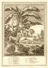 Africa. Chameleon Porcupine Panther Crocodile Four Wings Capiverd. SCHLEY 1747