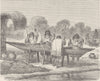 PERU. Conibos preparing turtles eggs 1890 old antique vintage print picture