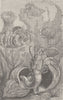 CRUSTACEANS. Hermit crabs 1896 old antique vintage print picture