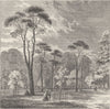 KENSINGTON PALACE. The Scotch firs, Kensington Gardens. London c1880 old print