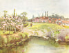 DERBYS. Village Green, Cold Norton 1909 antique vintage print picture