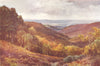 SURREY. Hindhead-Punchbowl-looking North 1912 old antique print picture
