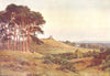 SURREY. Reigate Heath, Evening 1912 old antique vintage print picture
