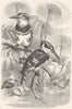 BIRDS. Searcher. Kingfisher. Grey c1870 old antique vintage print picture