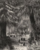 MEXICO. Cypress Grove of Chapultepec c1880 old antique vintage print picture
