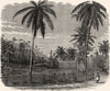 JAMAICA. West Indies. A. Planter's House c1880 old antique print picture