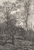 LOIRE. Loire valley. Woodland Scene. Banks of the Loire c1878 old print