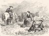 SCOTLAND. Scene in the Grampians. Fair Weather c1886 old antique print picture