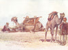 ISRAEL. Study of Camels and attendants 1902 old antique vintage print picture