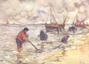 NETHERLANDS. Utrecht. Shrimp-fishing 1904 old antique vintage print picture
