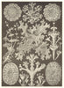 LICHENS. Parmelia steilaris Cladonia retipora olivacea perfoliata Sticta 1907