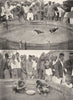 MALAYSIA. The Malay Peninsula. Cock-fighting in Malaya;  1900 old print