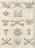 INSIGNIA US ARMY. Inf.;Pay;Engineers;Cav.;Signal;Medical;Ordnance;Artillery 1907