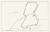 New York State. Plan of a fort (1) 1850 old antique vintage map chart