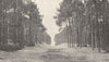 GIRONDE. Arcachon. Boisement des Dunes 1900 old antique vintage print picture