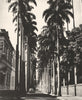 BRAZIL. Rio de Janeiro. La Rue Passandu 1951 old vintage print picture