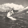 BRAZIL. Rio de Janeiro. Voiliers Sailing 1951 old vintage print picture