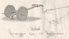 FARMING. Agricultural Implements; Roman Ploughs 1880 old antique print picture